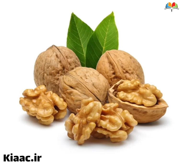 گردو بهترین صبحانه برای درس خواندن