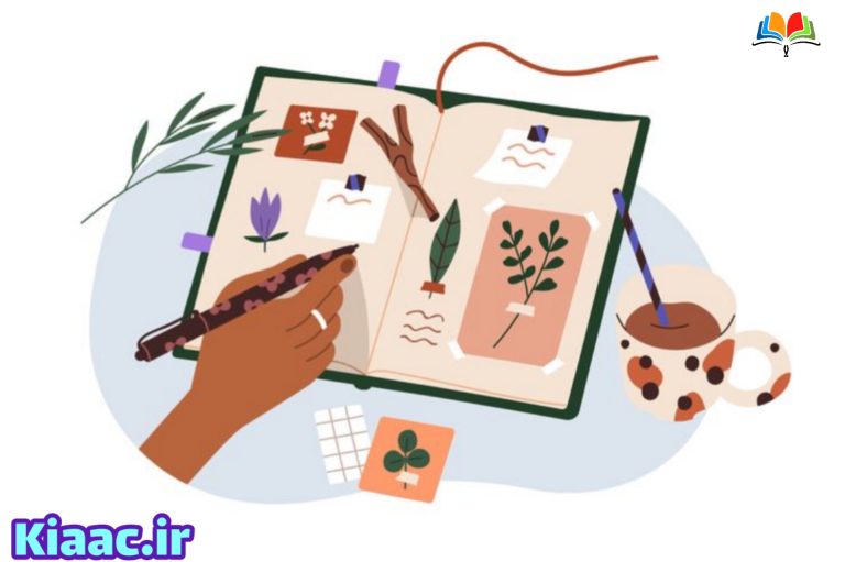 InShot 20251208 214648828